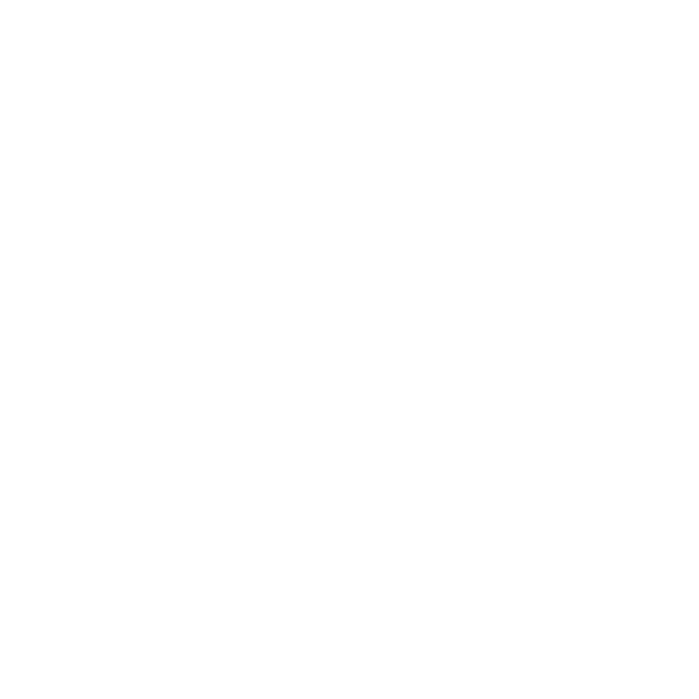 Polygon Fox Logo
